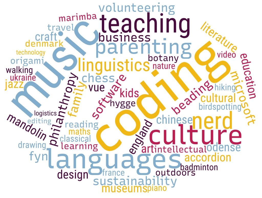 Word cloud showing areas of experience and interests.